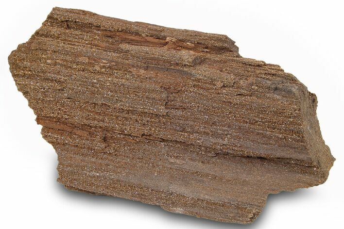 Permineralized Wood Covered In Sparkling Quartz -, Germany #263957